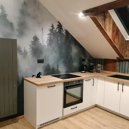 Apartmán Neuf Le Grenier D'oscar La Bresse