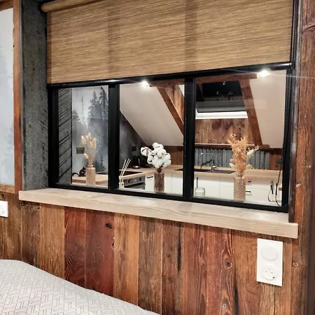 Appartement neuf Le Grenier d'Oscar * La Bresse