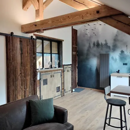 Appartement neuf Le Grenier d'Oscar * La Bresse