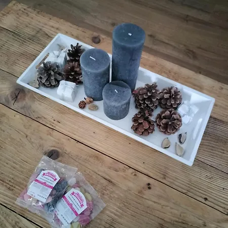 Appartement neuf Le Grenier d'Oscar *