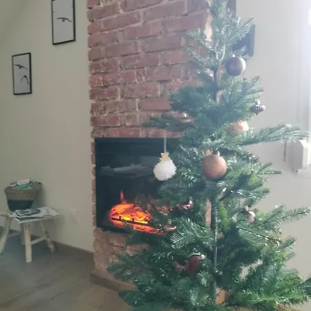 Appartement neuf Le Grenier d'Oscar Appartement La Bresse