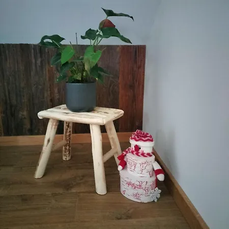 Appartement Appartement neuf Le Grenier d'Oscar