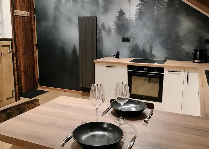 Neuf Le Grenier D'oscar La Bresse