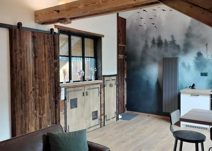 Neuf Le Grenier D'oscar * La Bresse