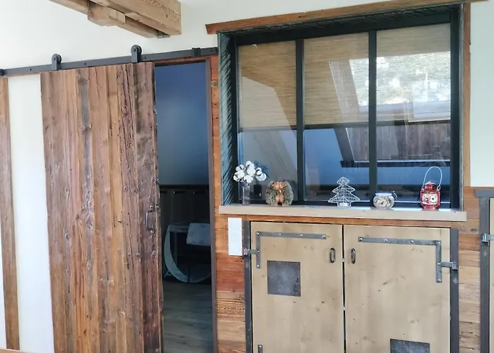 Neuf Le Grenier D'oscar * La Bresse