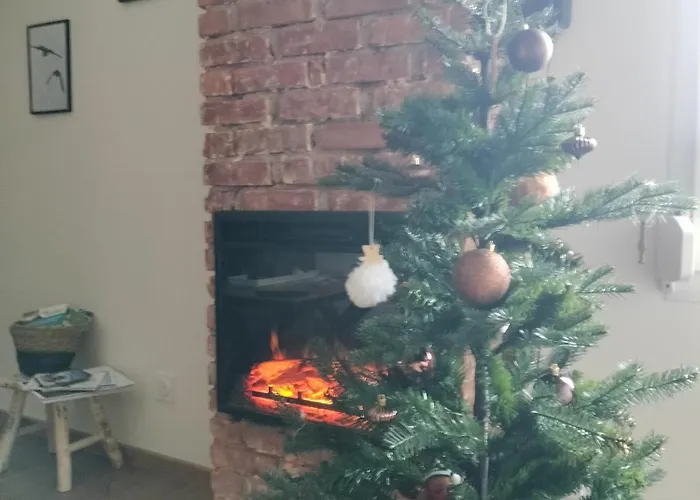 Neuf Le Grenier D'oscar Appartement La Bresse