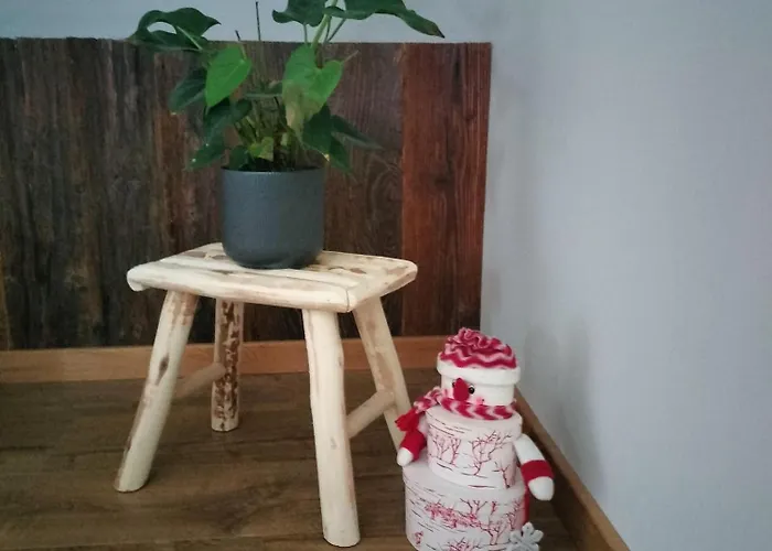 Appartement Neuf Le Grenier D'oscar